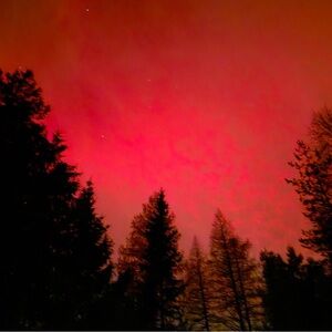 Meet your Posher, Robyn